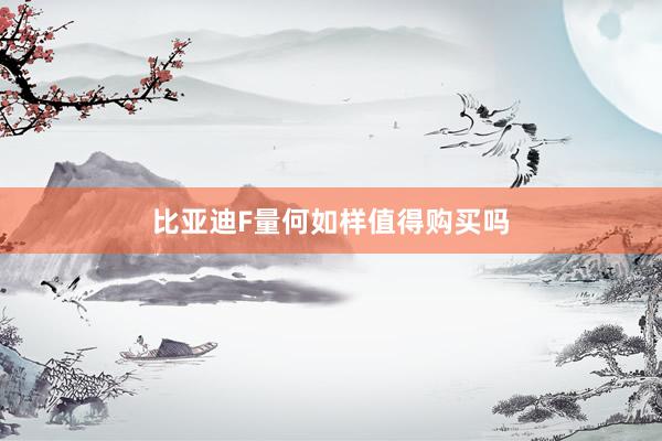 比亚迪F量何如样值得购买吗